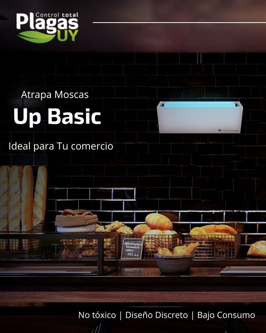 Trampa de luz UV FLYTRAP Up Basic instalada en un comercio — control de moscas interior
