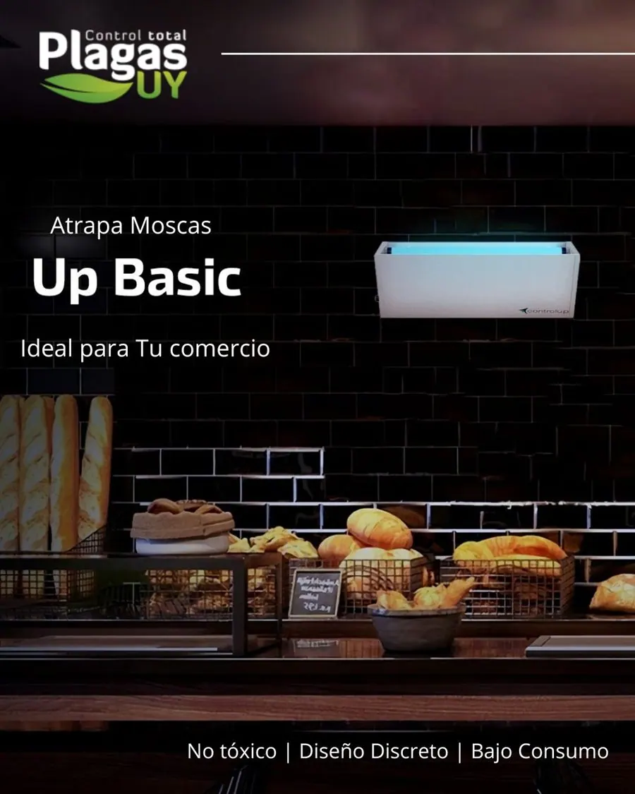 Trampa de luz UV FLYTRAP Up Basic instalada en un comercio — control de moscas interior