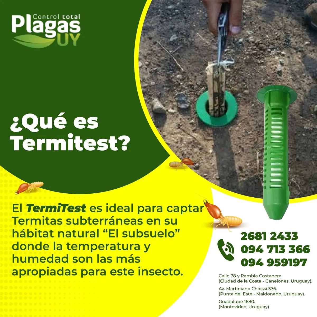 Estación TermiTest de monitoreo perimetral para prevención de termitas subterráneas en Uruguay